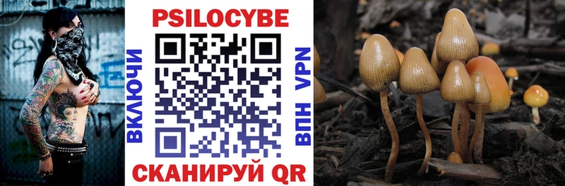 Псилоцибиновые грибы GOLDEN TEACHER  закладки  Петушки 